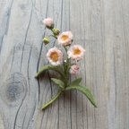作品ハルジオンブローチ(ももいろ) 野の花