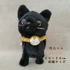 作品【感謝価格】猫の首輪🐈🎶⸒⸒