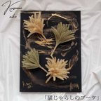 作品猫じゃらしのブーケ　猫じゃらし　草　母の日　草編み　オブジェ　アート　壁飾り　壁掛け　唯一無二