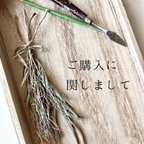 作品ご購入に関しまして※必ずご一読下さい