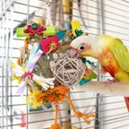 作品【鳥のおもちゃ】 インコちゃんのカミカミお花畑 