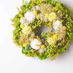 作品受注制作 S size order-made preserved flowers wreath リース (約15cm～20cm)