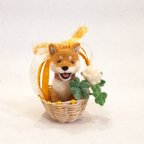 作品羊毛フェルトの春を運ぶ柴犬(四つ葉のクローバー)