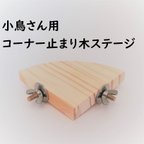 作品小鳥用コーナー止まり木ステージ　