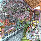 作品透明水彩複製画／京都・三寧坂の枝垂れ桜