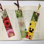 作品クリアシート お花のしおり②   3枚セット