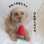 作品【犬のおもちゃ】さんかくスイカ