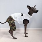 作品名入れオーダー ウォータークール ノースリーブロンパース カモフラ 犬服