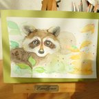 作品Racoon〜　　狸　水彩　原画