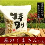 作品新米特別栽培米森のくまさん5ｋg　熊本県相良村産　令和3年産　精白米