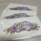 作品猫とお花のポストカード３枚入りセット　No.４