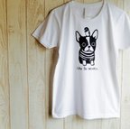 作品インコとワンコ Tシャツ