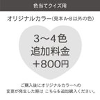 作品オリジナルカラー3〜4色変更＊追加料金＊ドレス＆蝶ネクタイ色当てクイズ用＊