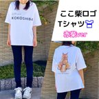 作品ここ柴ロゴTシャツ～赤柴さん～