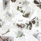 作品海外フレークシール “Leaf” photo sticker 20枚set 韓国フレークシール