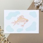 作品魚のポストカード「金魚（あか）」