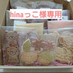 作品hinaっこ様専用カート