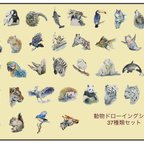 作品【受注生産】動物シール 37種類セット