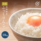 作品北海道米 令和4年 精米 冷めても美味しい「ふっくりんこ」10kg　送料込み　お米　米