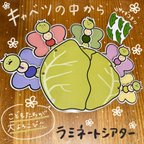 作品キャベツの中から ラミネートシアター