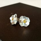 作品お花のシルバーピアス：イエローサファイア