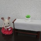 作品ミニチュア 多肉植物 