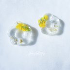 作品《新作》mimosa × flower