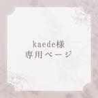 作品❃kaede様専用ページ❃