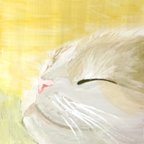 作品【原画】猫 - ひなたぼっこ