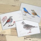 作品野鳥刺繍のポストカード