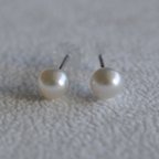 作品あこやベビーパール　一粒スタッドピアス / akoya baby pearl pierce