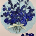 作品 NO.906千鳥草茎つき横姿　ロイヤルブルー色／押し花素材