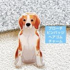 作品犬　ビーグル　ブローチ　レジン　ハンドメイド　ヘアゴム　チャーム　プレゼント