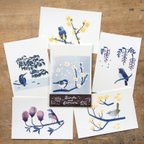 作品花と鳥のポストカード A（６枚セット）
