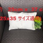 作品PC-3616      ベビー　＆　キッズ　　シルクの枕カバー　　正絹　絹　アイボリー