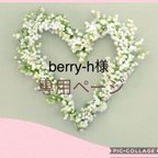 作品berry-h様専用ページ