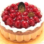 作品5号 木苺のチョコレートケーキ