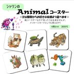 作品シャワンのAnimalコースター