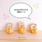 作品【本物のminiパン】konayu20111様 専用ページ