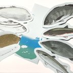 作品魚のメッセージレター<汽水の魚>