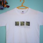 作品月光に煌めく葉【Ｔシャツ】