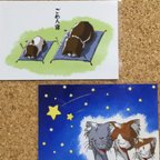 作品「ごめん寝ネコ」と「星に願いを」のポストカード