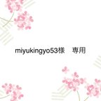 作品miyukingyo53様　専用