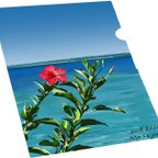 作品石垣島の風景クリアファイル・A4サイズ　Vol.2