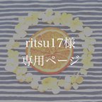 作品ritsu17様専用ページ