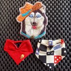 作品刺繍　カウボーイ気分な犬 2　シベリアンハスキー　ブローチ