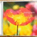 作品CD『evergreen』(マスターCDのコピーです)