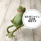 作品おたまじゃくしはは様専用です