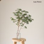 作品切りたてアセビ60cm2本 観葉植物 インテリア 枝物 枝 装飾 北欧 ナチュラル シンプル 雑貨 木 新鮮 馬酔木