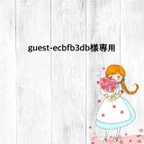 作品guest-ecbfb3db様専用